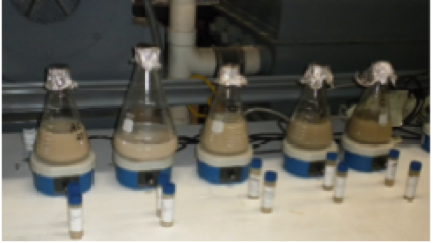 Powdered Clay Slurry Bioremediation
Efficacy Tests