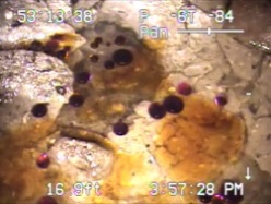 Fuel Leak Documented by Video Inspection Atlanta Georgia
